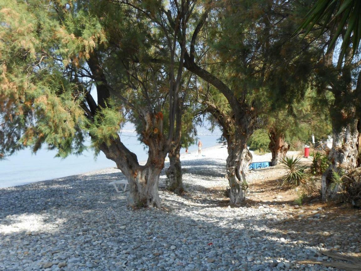 Horizon Aktaion Aparthotel Kalamata Exteriör bild